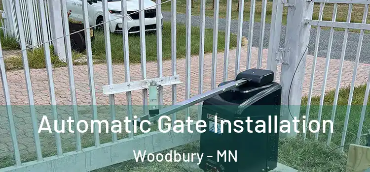 Automatic Gate Installation Woodbury - MN