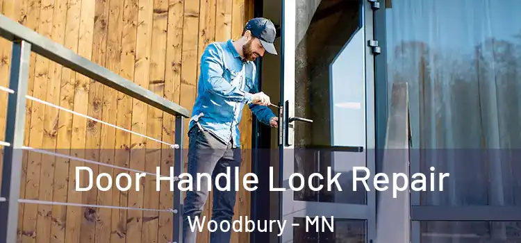 Door Handle Lock Repair Woodbury - MN