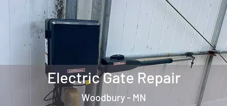 Electric Gate Repair Woodbury - MN