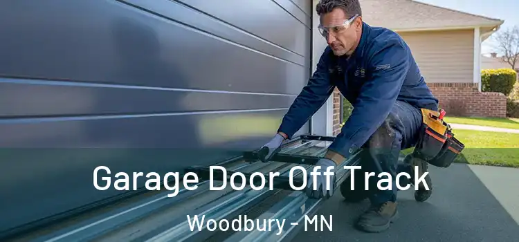 Garage Door Off Track Woodbury - MN