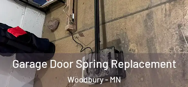  Garage Door Spring Replacement Woodbury - MN