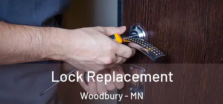 Lock Replacement Woodbury - MN